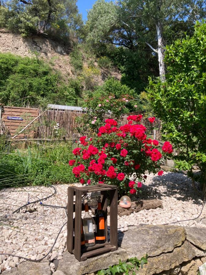 Le Mas Aux Aromes Puget Exterior photo