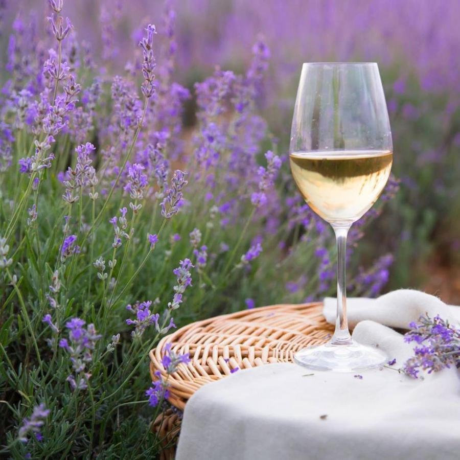 Le Mas Aux Aromes Puget Exterior photo